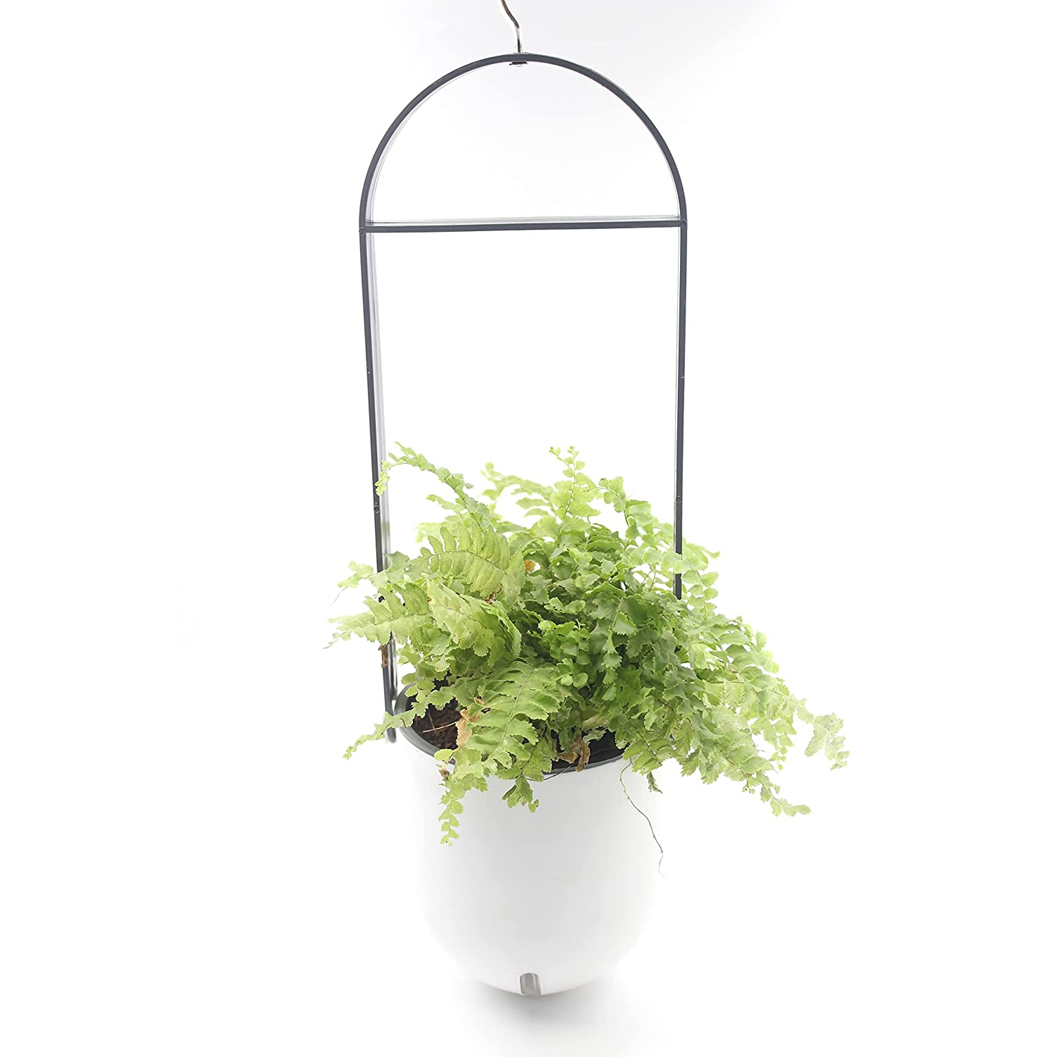 Sphere Selfwatering Hanging Flower Pot/Indoor Outdoor Plant Pot | Hanging Planter for Plants (Home & Garden)