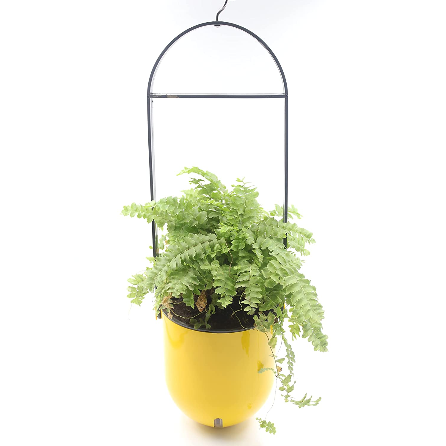 Sphere Selfwatering Hanging Flower Pot/Indoor Outdoor Plant Pot | Hanging Planter for Plants (Home & Garden)