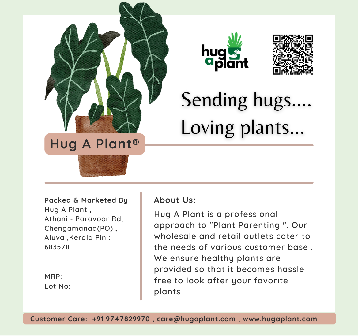 Hug A Plant : Outdoor Potting Mixture For Plants (Specially for Outdoor Plants)