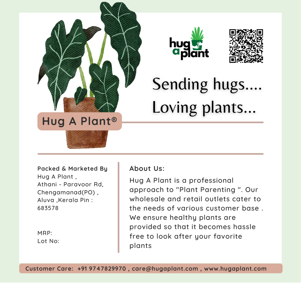 Hug A Plant : Indoor Potting Mixture For Plants (Specially for Indoor