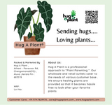 Hug A Plant Coco Peat Fibre For Plants 1Kg