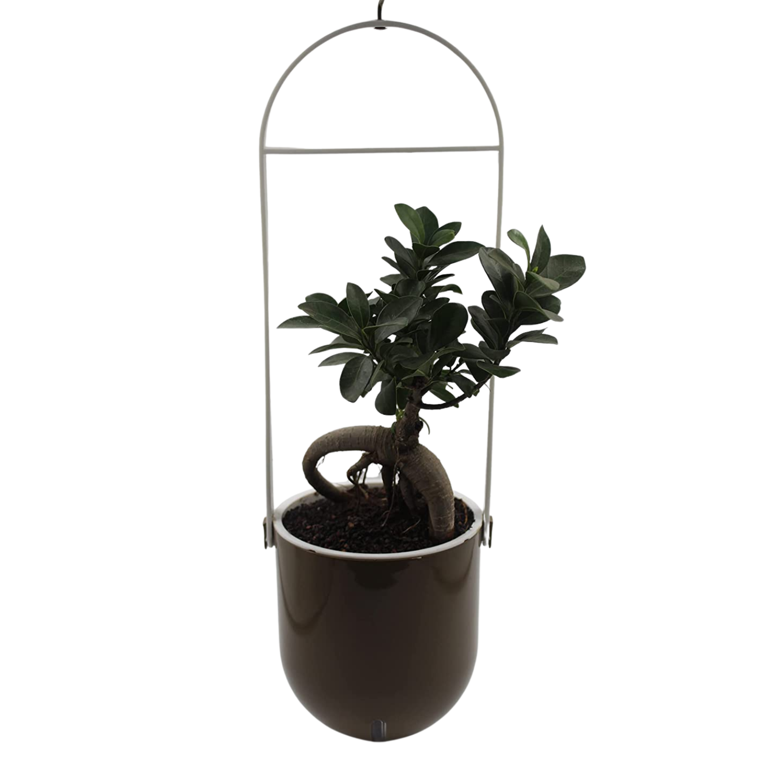 Sphere Selfwatering Hanging Flower Pot/Indoor Outdoor Plant Pot | Hanging Planter for Plants (Home & Garden)