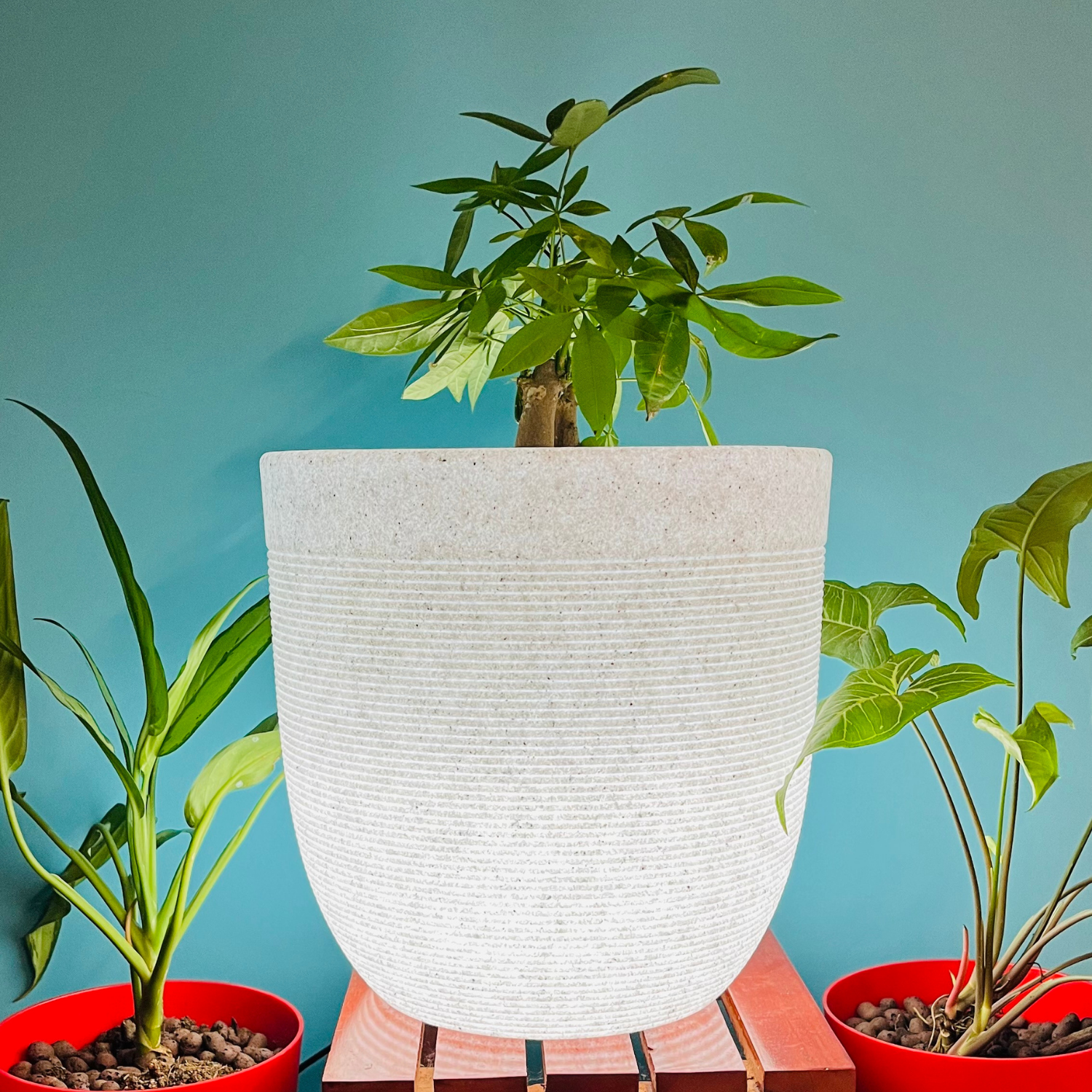 Hug A Plant | Milano Round Plastic Pot with Led for Home & Garden (30CM | 11.81 INCH, Pack of 1, White Stone Finish)