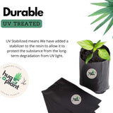 Hug A Plant | Black Nursery Cover/Plant Grow Bag Terrace Gardening Nursery Cover (Black,10X12 INCH)