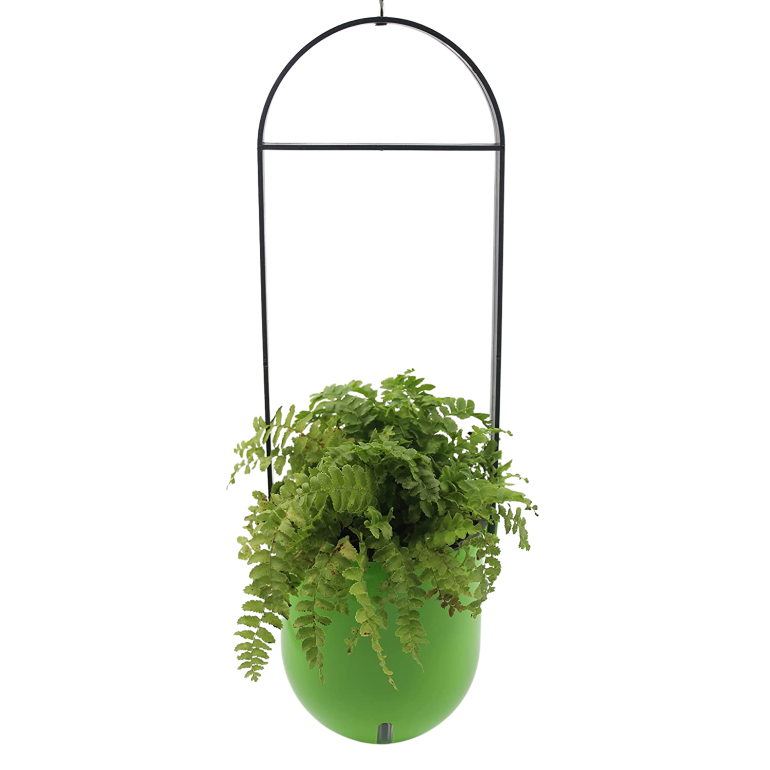 Sphere Selfwatering Hanging Flower Pot/Indoor Outdoor Plant Pot | Hanging Planter for Plants (Home & Garden)