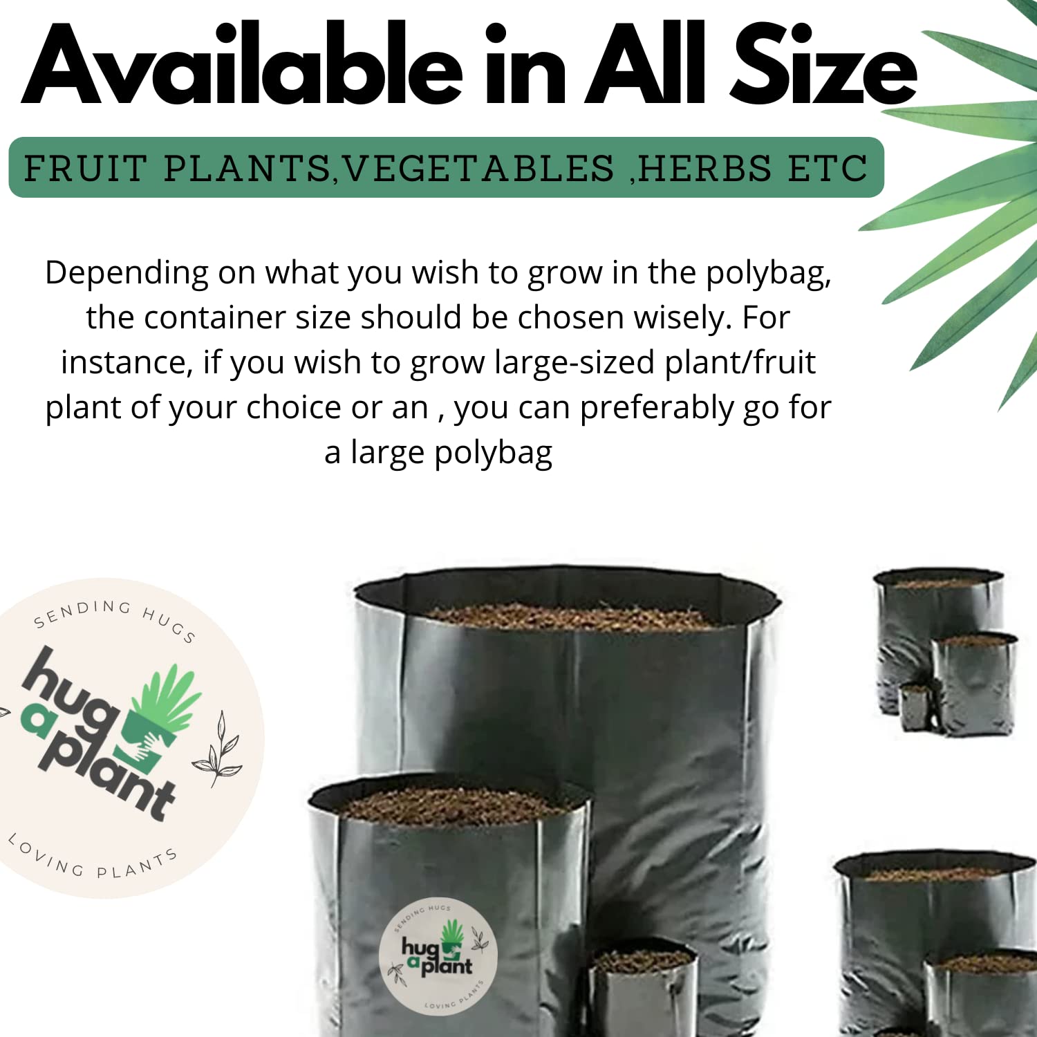 Hug A Plant |Polyethylene Nursery Cover Planter for Seedlings & Seasonal Flowers/Vegetables(Black,4X6 INCH)