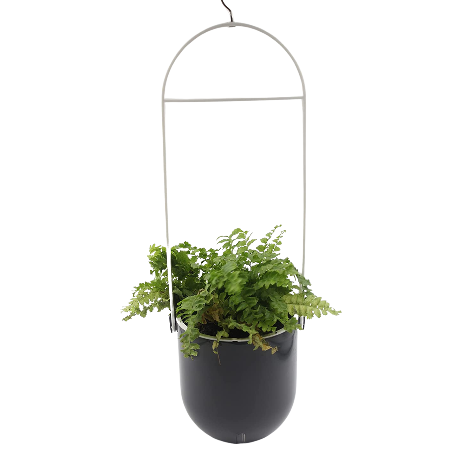 Sphere Selfwatering Hanging Flower Pot/Indoor Outdoor Plant Pot | Hanging Planter for Plants (Home & Garden)