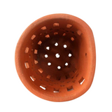 Orchid Terracotta Planter Round Cut