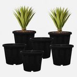 8 Inch Grower Plastic Pot Black