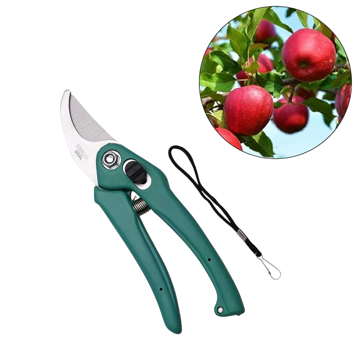 GARDEN SHEARS PRUNERS SCISSOR FOR CUTTING BRANCHES, FLOWERS, LEAVES, PRUNING SEEDS