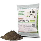 Hug A Plant Cow Dung For Plants